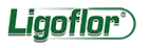 LİGOFLOR